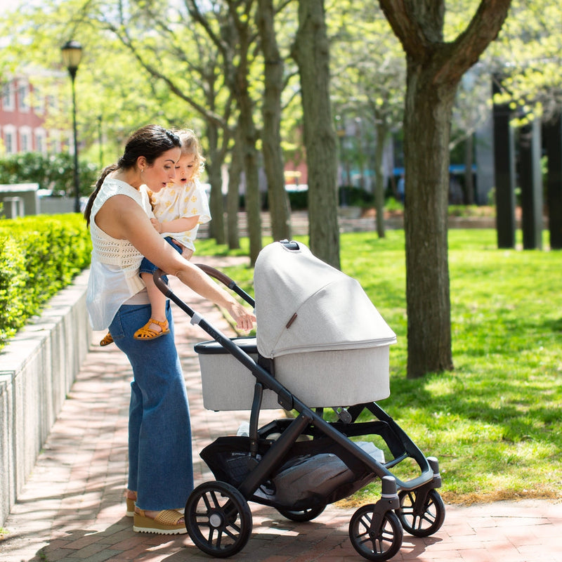 UPPAbaby Vista V2 Stroller