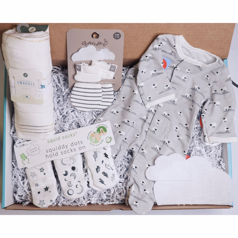 Baby Shower Gift Box - Tadpole