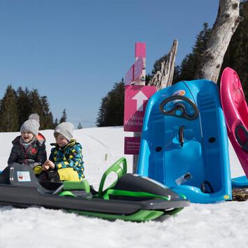 KHW Snow Flyer, Pink - Tadpole