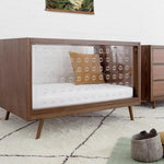 Nifty Clear in Walnut - Tadpole