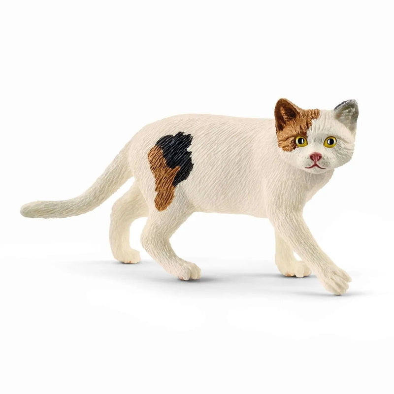 Schleich American Shorthair Cat - Tadpole