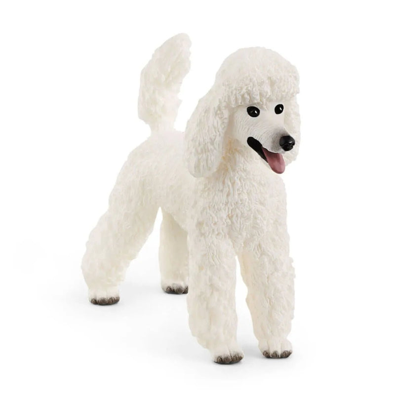 Schleich Poodle - Tadpole