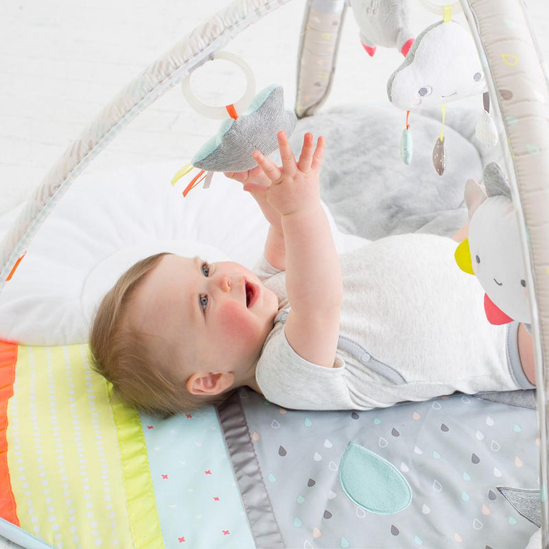 Skip Hop Silver Lining Cloud Activity Gym - Tadpole